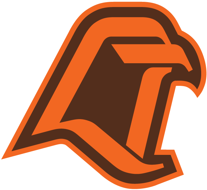 Bowling Green Falcons 1980-1989 Alternate Logo iron on transfers for clothing